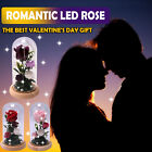 Valentine's Day Gift LED Glow-In-The-Dark Glass Cover Rose Is A Unique Gift
