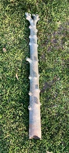 Antique cast iron tree hitching post. 4' by 4" wide. Piece broken off bottom. - Picture 1 of 3
