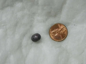 Star Ruby 5.34 Carats 8x10 MM Oval Cab Red Purple 8.07x10.08x6.77 - Picture 1 of 2