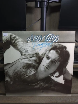 ANDY GIBB: FLOWING RIVERS - 1977 RSO RECORDS VINYL LP - EXC — 第 1/4 张图片