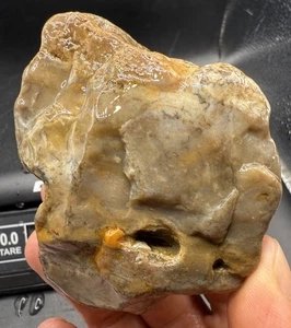 Indiana Ohio River Glacier Erratic Beach Polished Agate 1,460 Carats - Picture 1 of 6