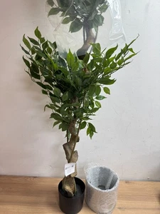 Blatt BLATT-7369 150cm Stamm künstlicher japanischer Baum im Fruticosa-Stil, gedrehter Lar - Bild 1 von 5