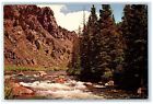 A View Of Taylor River Near Gunnison Colorado CO Unposted Vintage Postcard