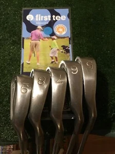 Ping Eye Karsten Black Dot 5-9 Irons Set ZZ Lite Steel Shafts - Picture 1 of 10