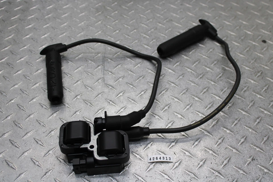 Bobinas de encendido Indian Chieftain 2014 4010425 Foto 1 de 4