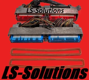 PCM Connector cores Red Blue LS1 LS6 LQ4 LQ9 LM7 4.8 5.3 5.7 6.0 12200411 P01 - Foto 1 di 2