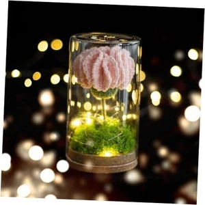Carnation Handmade Knitted Bouquet Eternal Flower Crochet Carnation Potted Pink - Picture 1 of 8