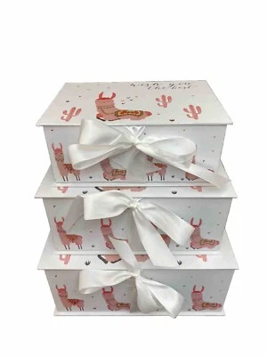 Juego de 3 cajas del tesoro/maleta/cajas de almacenamiento/cajas de regalo/anidación/pila/bebé Foto 1 de 4