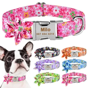 Lila personalisiertes Hundehalsband maßgeschneidert graviert Haustiere Ausweis Name Telefon kleine Party L - Bild 1 von 19
