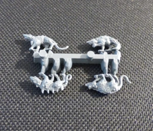 Skaven Plague Monks Giant Rats (x4) - Warhammer Age of Sigmar Chaos Model Parts - Picture 1 of 4