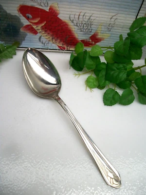Cuchara de servir sólida International Winthrop METROPOLITAN 1939 plateada Foto 1 de 4