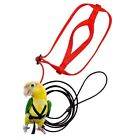 Straps Band Parrot Harness Bird Leash Parrot Flying Rope Bird Harness Leash