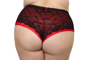 EWA MICHALAK Flamenco Brazilian midi Slip Gr.46 XXL Spitze Tüll Hand Arbeit Rot - Bild 1 von 5