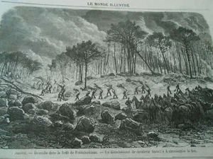 Gravure 1870 - France Incendie dans la forêt de Fontainebleau - Foto 1 di 1
