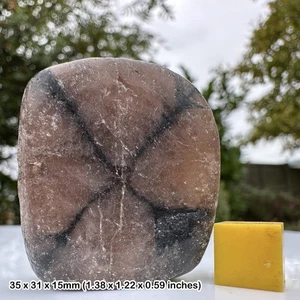 Genuine chiastolite slice for energy and chakra healing - Picture 1 of 2