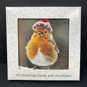 Charity Christmas Cards Ramsey Snowy Robin Plastic Free 10 Pack PW - Picture 1 of 2