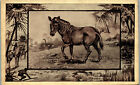 Carte postale vintage Antelope #25 Warner's sirop de vin de goudron blanc PC 1909 AA-006