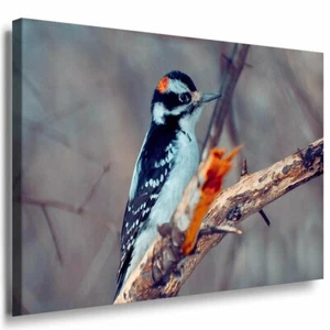 Vogel auf Ast Wald Leinwandbild AK Art Bilder Mehrfarbig Kunstdruck XXL Wandbild - Bild 1 von 1