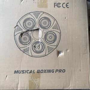 Musical Boxing Pro with Gloves, Controls for Speed and Mode, Black - Picture 1 of 3