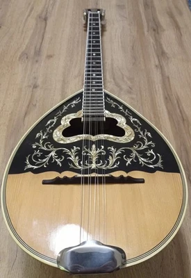4 string greek bouzouki & hardcase & pickup & 300 backing track with pdf scores - Image 1 of 4