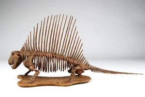 1:18 Scale Dimetrodon Skeleton Model 3D Printed Dinosaur Animal Scene GK Decor - Picture 1 of 10