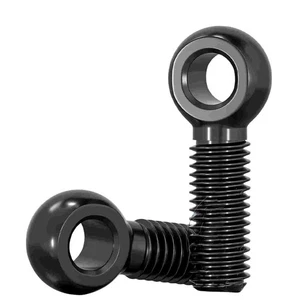 M6 bis M30 Augenschrauben DIN 444 Kohlenstoffstahl 4,8 Schwarz - Picture 1 of 128