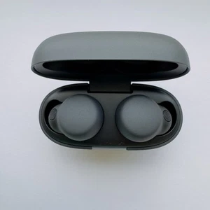 Auriculares Sony WF LS900N/B verdaderamente inalámbricos Bluetooth con cancelación de ruido - Imagen 1 de 6