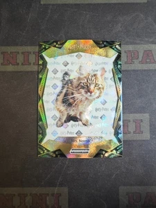 2024 KAKAWOW PHANTOM HARRY POTTER Silver PHP-MF-67 Mrs. Norris /668 - Picture 1 of 2