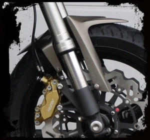 MGM-BIKES SB09 CBR900RR univ. Schutzblech / Fender / Streetfighter Fighter - Picture 1 of 12