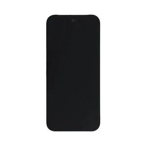 Google Pixel 9 Genuine Service Pack LCD - Picture 1 of 1