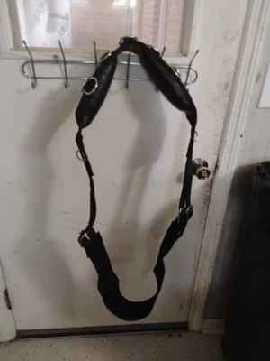 Leather and Webbed Horse Size Lunging & Driving Training Surcingle - Image 1 of 4