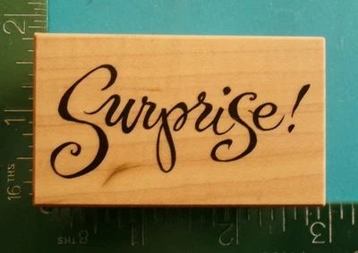 PSX Designs E-2321 SURPRISE Rubber Stamp Saying - Image 1 of 2