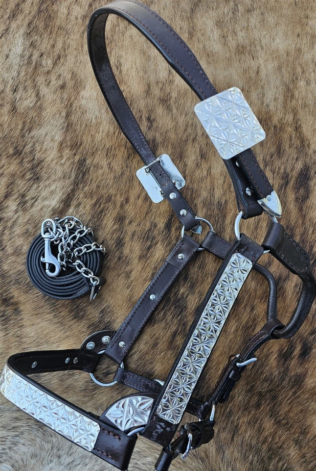Halter Horse Silver Show - Grabado floral - Tamaño caballo - Plomo a juego Foto 1 de 4
