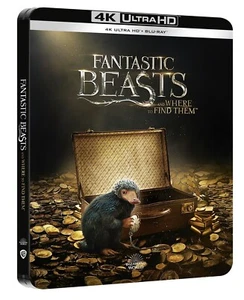 FANTASTISCHE TIERWESEN UND WO SIE ZU FINDEN SIND STEELBOOK - ITA - ENG - 4K + BLU-RAY - Bild 1 von 3