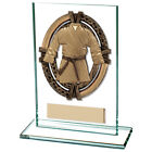 Maverick Glass Martial Arts Award   Free Engraving   Multiple Sizes Available