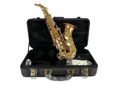 Saxofón soprano curvo Yanagisawa SCWO20 Bronze Elite ¡Nuevo en caja! Foto 1 de 4