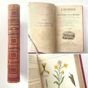 1867 L’Herbier des Demoiselles Edmond Audouit Antique French Botany Herbarium