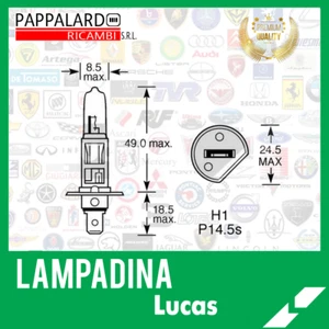 H1 LUCAS X1 LLB448 LAMPADINA ORIGINALE LUCAS P14.5s 12v 55W - Foto 1 di 1