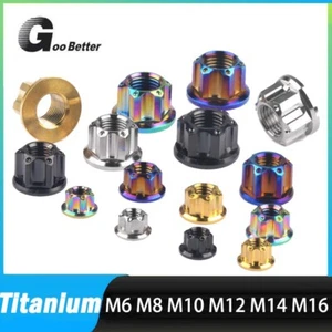 Titanium Nuts M6 M8 M10 M12 M14 M16 TC4 Ti Hex Flange Nut for Motorcycle - Picture 1 of 13