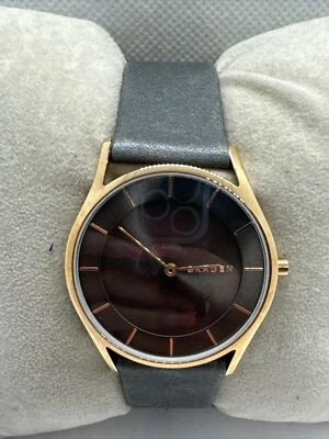 Reloj pulsera Skagen Holst SKW2346 para mujer cuero gris esfera analógica cuarzo AEA285 Foto 1 de 4