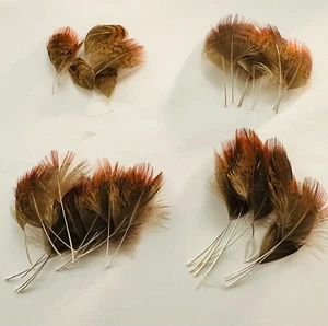 Mix size natural feathers, crafts, millinery, findings, fly tying, card making - Picture 1 of 5