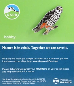 RSPB New Brand Hobby - Picture 1 of 1
