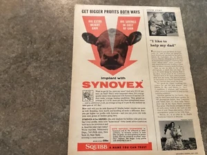Implantes Squibb publicitarios vintage 1960 para ganado. Grandes ganancias en ambos sentidos - Imagen 1 de 1