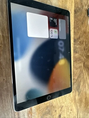 Apple iPad Pro 10,5“, 256 GB, WiFi + Cellular, Space Gray, Modell A1709 - Bild 1 von 4