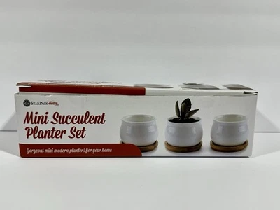 Star Pack Home Mini Maceta Suculenta Set (Caja Abierta) Foto 1 de 4