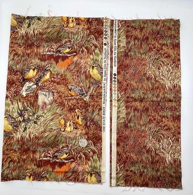 The State Birds MEADOWLARK y MEADOWGRASS POR Suzan Ellis para Northcott - 2 FQ Foto 1 de 3