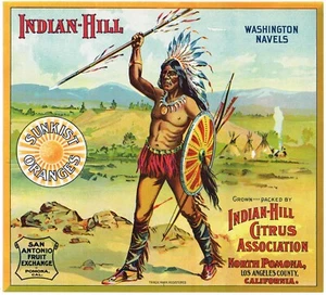 ORIGINAL ORANGE KISTENETIKETT INDIAN HILL POMONA CALIFORNIA UM 1915 SUNBURST A+ - Bild 1 von 1