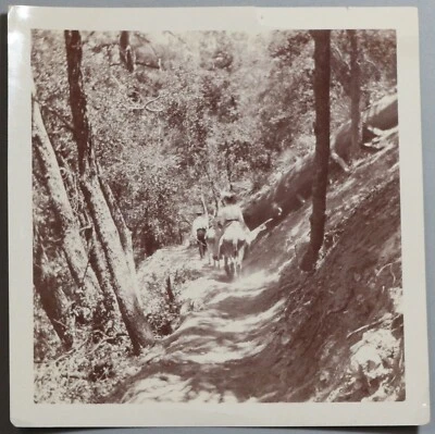 Foto de colección Mount Lowe Equestrian Trail 1904 4 de julio CA (22090902R) Foto 1 de 2