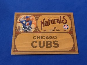 2005 Sammy Sosa /2000 Donruss Leather & Lumber Naturals #N-19