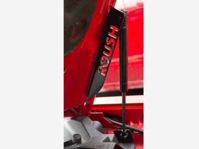 Kit de elevación de puntales de capó Roush Performance 421236 para Ford Mustang 2005-2014  Foto 1 de 4